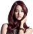 ไม่มีกระทู้ใหม่