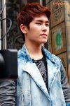 Hoya - โฮย่า